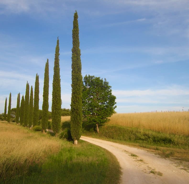 The road to LOKAH retreat in Abruzzo